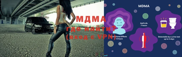 прущие грибы Бородино