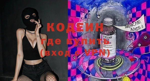 прущие грибы Бородино