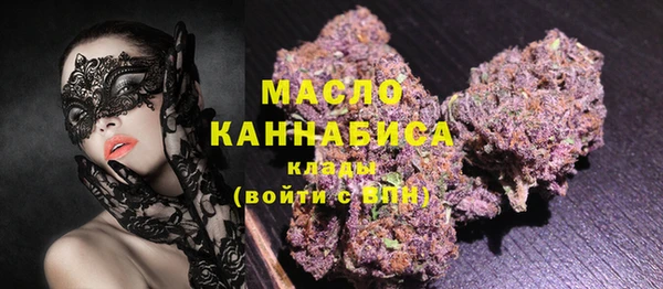крисы Богородицк
