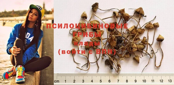 крисы Богородицк