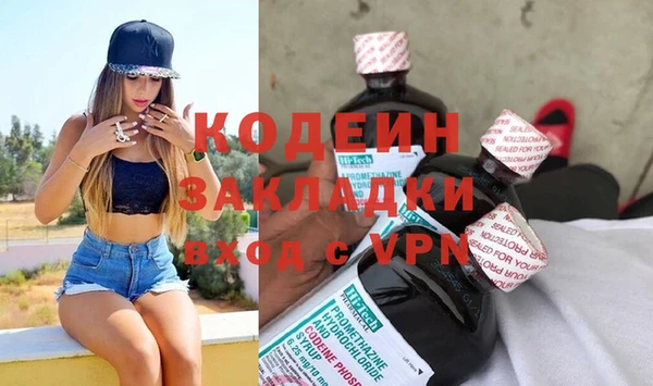 крисы Богородицк