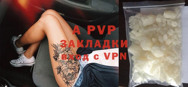 сатива Богданович
