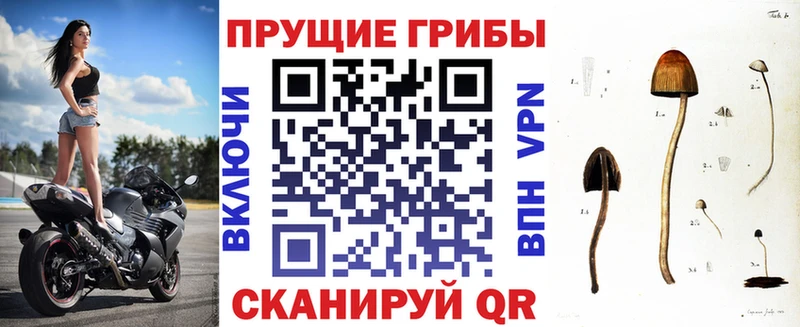 Псилоцибиновые грибы Psilocybe наркошоп Ейск